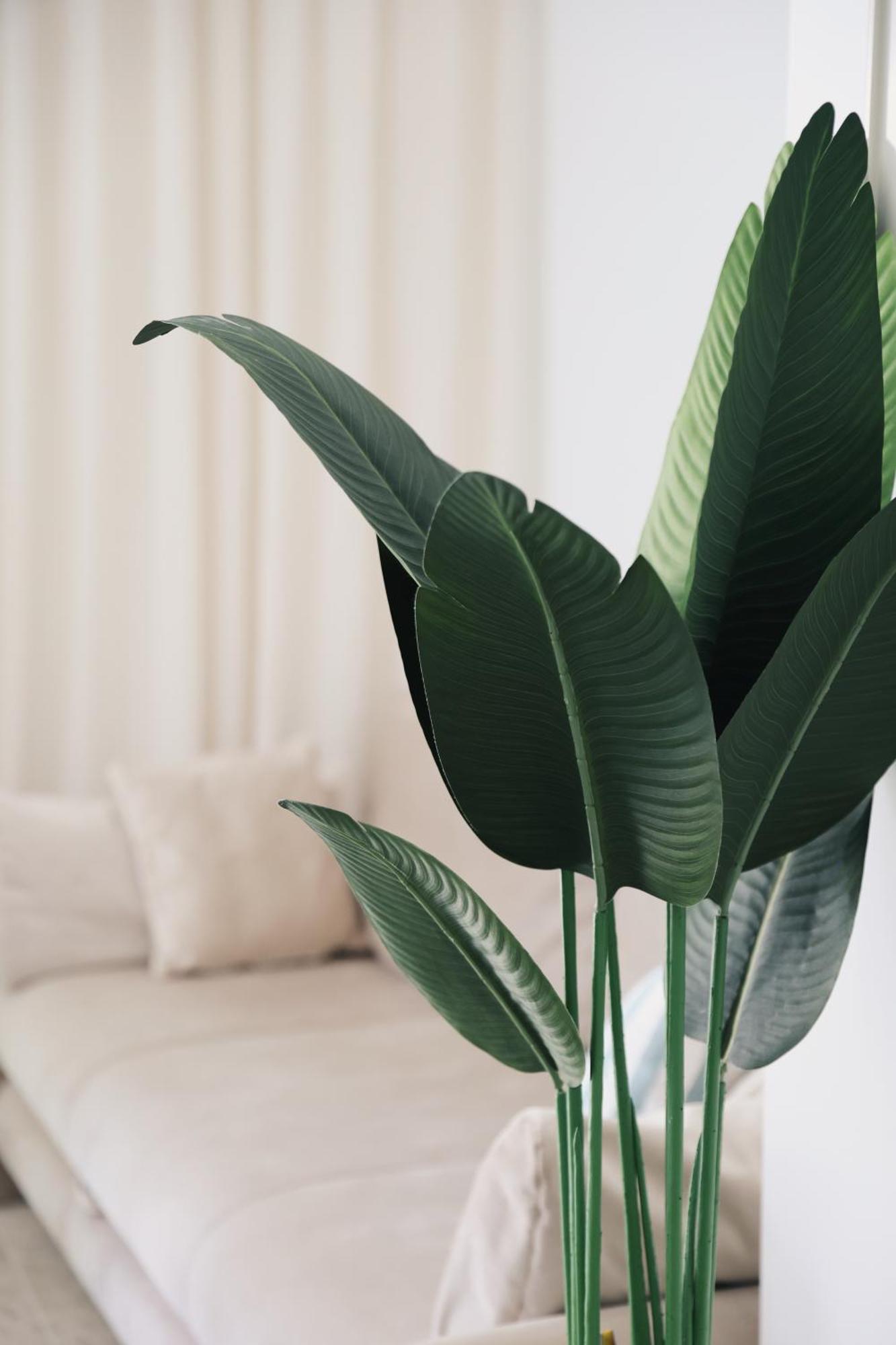 Apartman M&K Dubrovnik Dış mekan fotoğraf